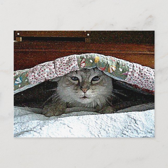 Attackera katt vykort (Framsida)