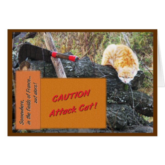 Attackkatt Hälsningskort (Framsidan Horizontal)