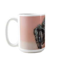 Åttbenat Kärlek: Bold Jumper Spider Merch