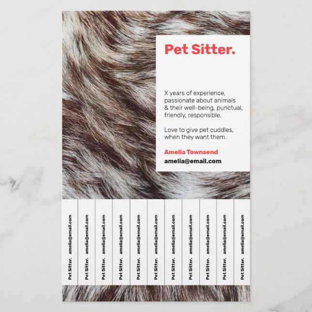 Attention-grabbing Modern Pet Sitter Service and Flygblad (Framsidan)