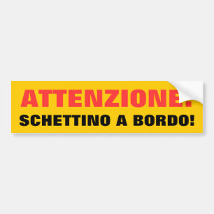 ATTENZIONE: SCHETTINO A BORDO! BILDEKAL