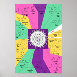 Ättiklexikhjul för aminosyror poster