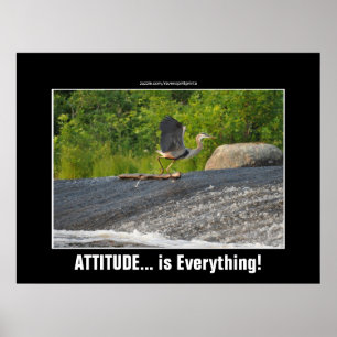 ATTITUDE ÄR ALLT Underbart Blått Heron & Falls Poster