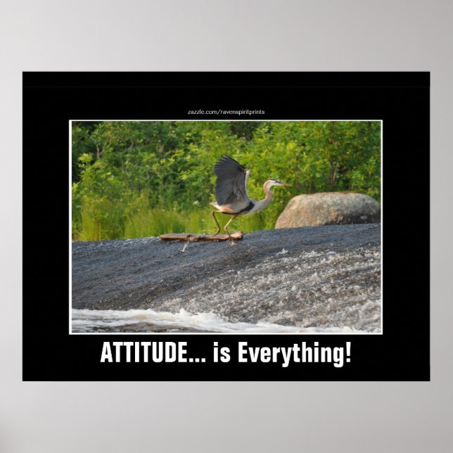 ATTITUDE ÄR ALLT Underbart Blått Heron & Falls Poster (Framsidan)
