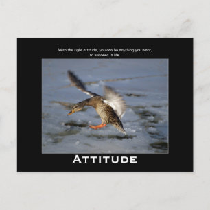Attitude Mallard Anka Motivational Postcards Vykort