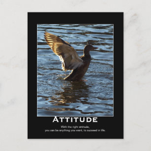 Attitude Mallard Anka Motivational Postcards Vykort