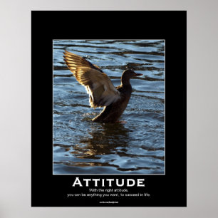 Attitude Mallard Anka Motivational Poster