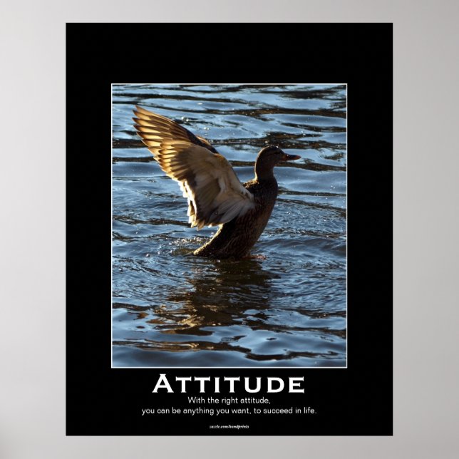 Attitude Mallard Anka Motivational Poster (Framsidan)