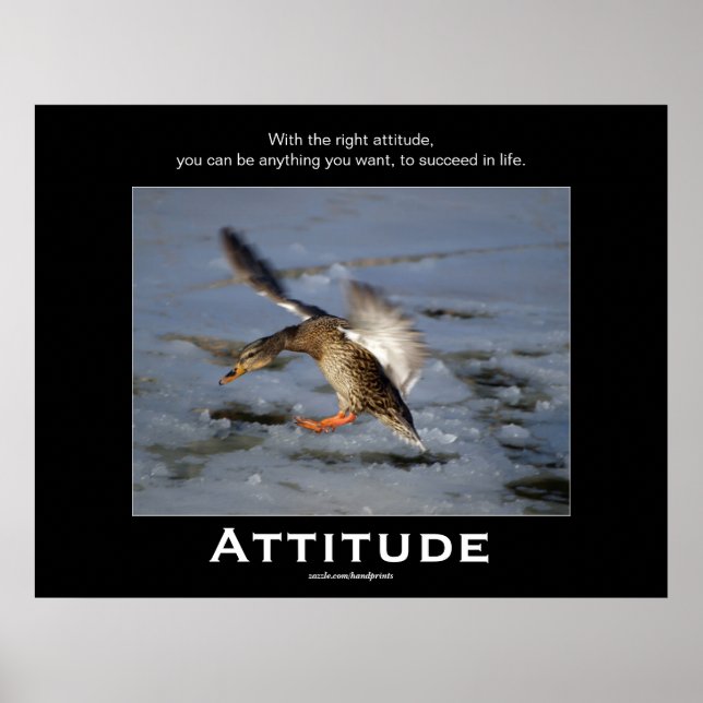 Attitude Mallard Anka Motivational Poster (Framsidan)