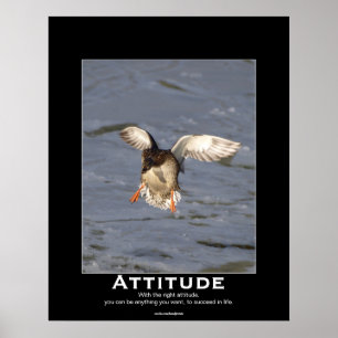 Attitude Mallard Anka Motivational Poster