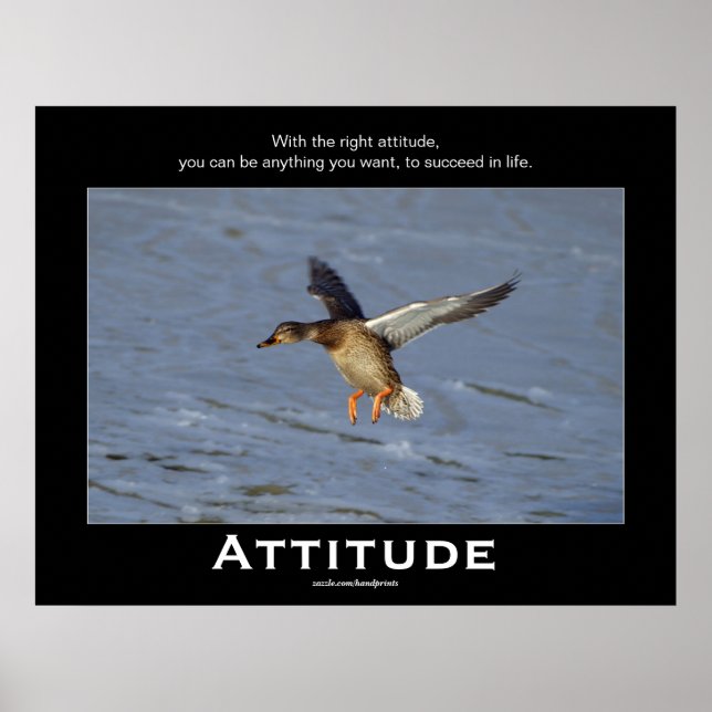 Attitude Mallard Anka Motivational Poster (Framsidan)