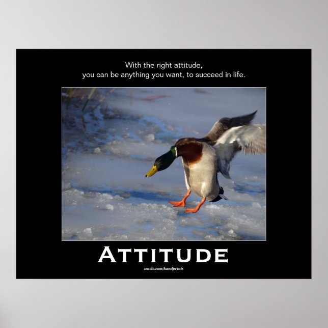 Attitude Mallard Anka Motivational Poster (Framsidan)