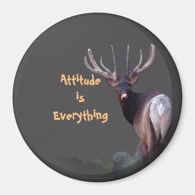 Attityd är Allt Magnet (Framsidan)