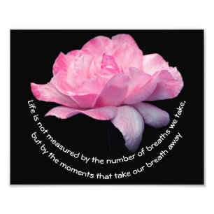 Attityd för rosa ros - inspirationskälla 8 x 10 fototryck