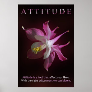 Attityd Poster