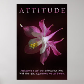 Attityd Poster