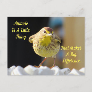Attitydvykort - Handflatan Warbler Bird Vykort
