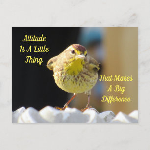 Attitydvykort - Handflatan Warbler Bird Vykort