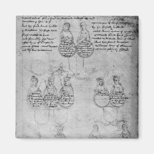 Ättlingarna av countessen Anne, c.1483 Magnet