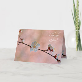 Attraktiva japanska Apricot Flowers Tack Kort