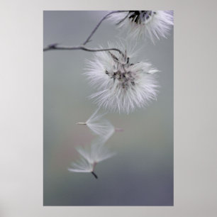 Au Revoir Höstblomsterfrön lämnande CC0116 Poster