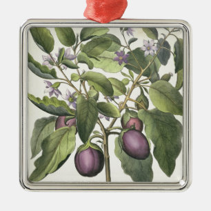 Aubergine: Melanzana fructupallido, från 'Horen Julgransprydnad Metall
