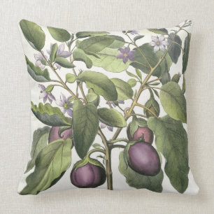 Aubergine: Melanzana fructupallido, från 'Horen Kudde