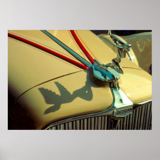 Auburn Speedster-radiator, ornament Poster