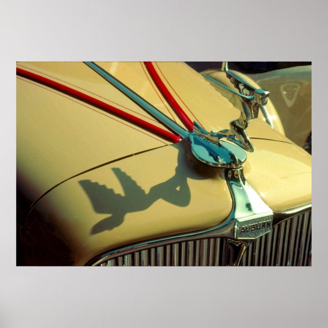 Auburn Speedster-radiator, ornament Poster (Framsidan)
