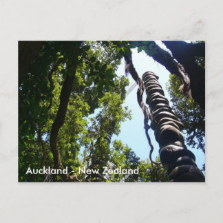 Auckland-postkort Vykort