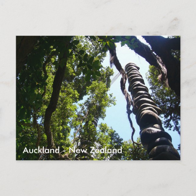 Auckland-postkort Vykort (Framsida)