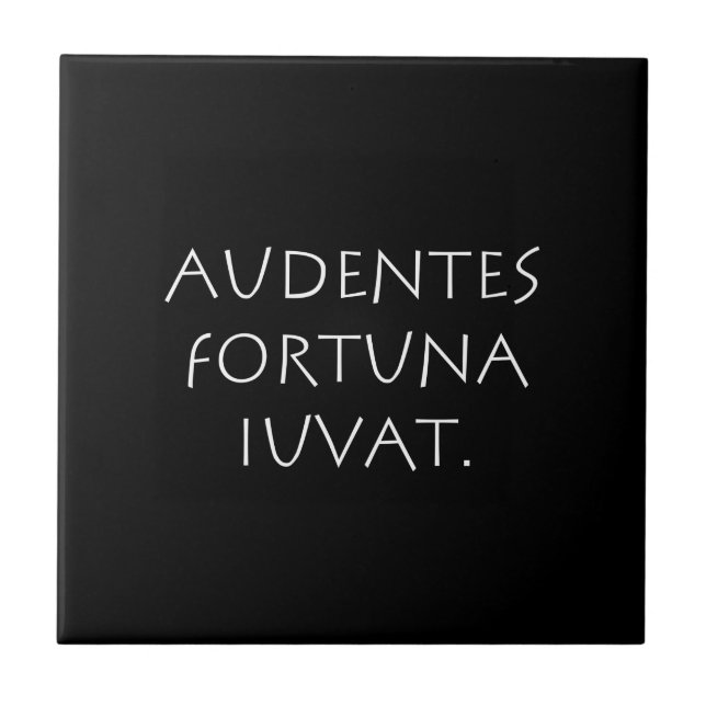 Audentes förmögena iuvat kakelplatta (Framsidan)