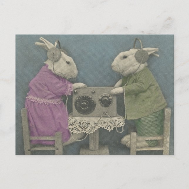 Audiophile Bunnies Vykort (Framsida)