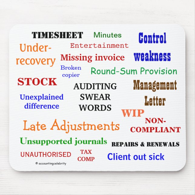 Auditing Swear Ord Annoying Funny Auditor Gift Musmatta (Framsidan)