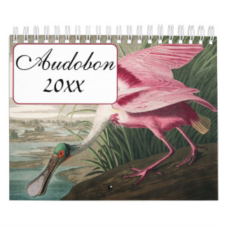 Audobon Bird Calendar Kalender