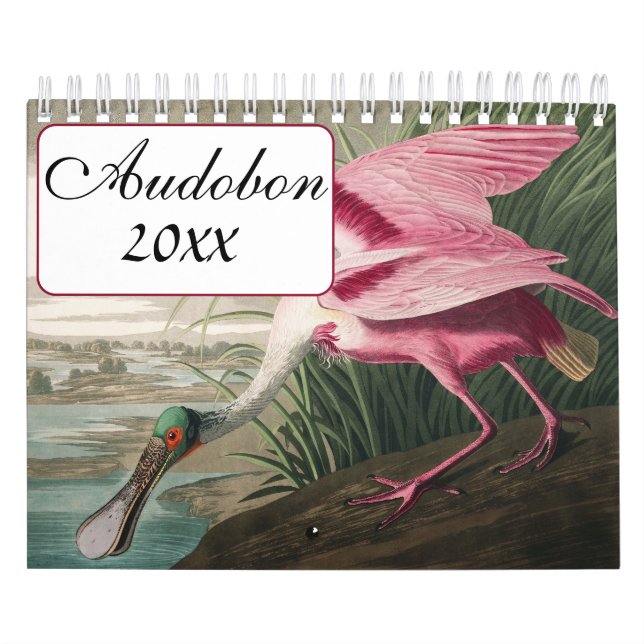 Audobon Bird Calendar Kalender (Omslag)