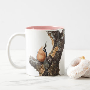 Audobon Red-Brested Nuthatch Två-Tonad Mugg