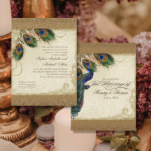 Audrey Jeanne Peacock & Feathers Vintage Damask