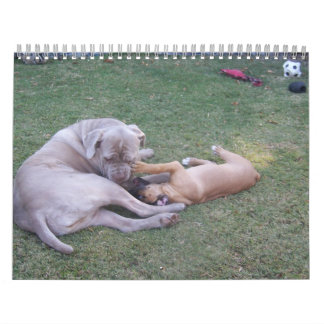 Audrey och Willow Calendar 2013 Kalender