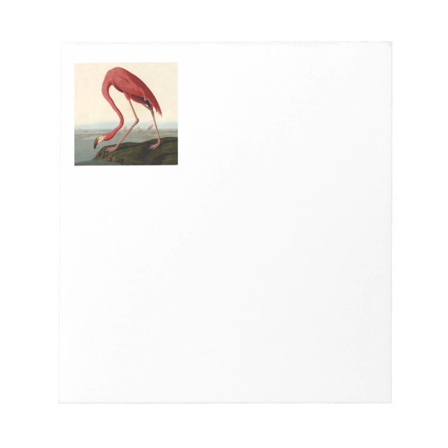 Audubon American Flamingo Anteckningsblock (Framsida)