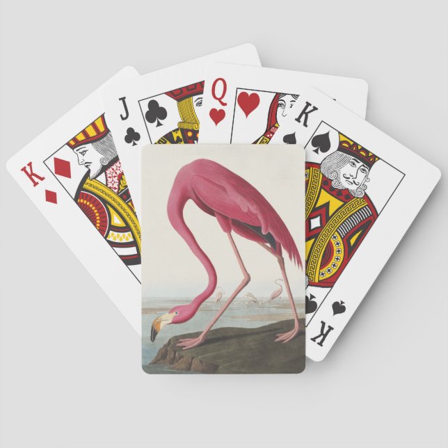 Audubon American Flamingo Classic Painting Casinokort (Baksidan)