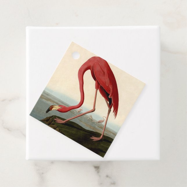 Audubon American Flamingo Gåvor Etiketter (På plats)