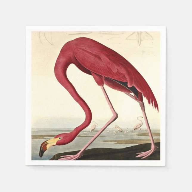 Audubon American Flamingo John James Audubon Pappersservett (Framsidan)
