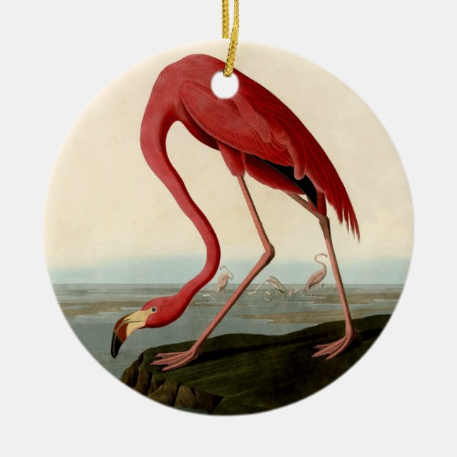 Audubon American Flamingo Julgransprydnad Keramik (Framsidan)