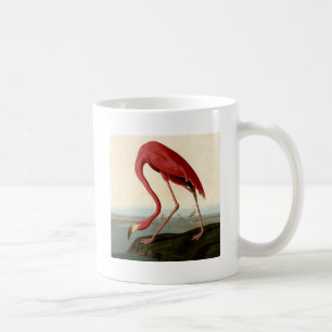 Audubon American Flamingo Kaffemugg