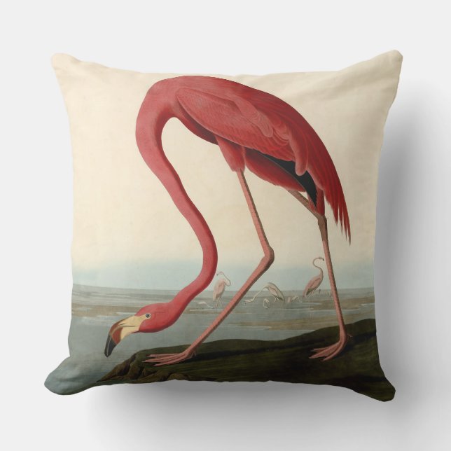Audubon American Flamingo Kudde (Framsida)