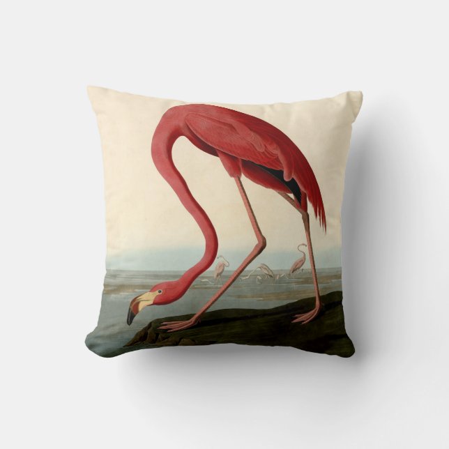 Audubon American Flamingo Kudde (Framsida)