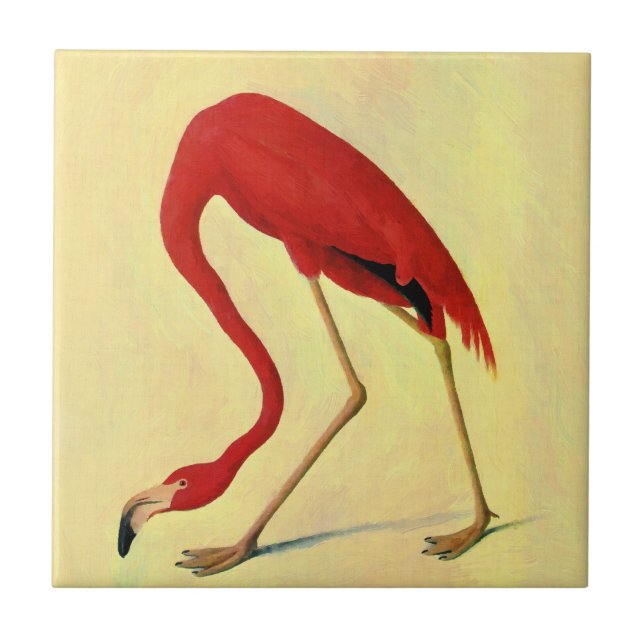 Audubon American Flamingo Painting Kakelplatta (Framsidan)