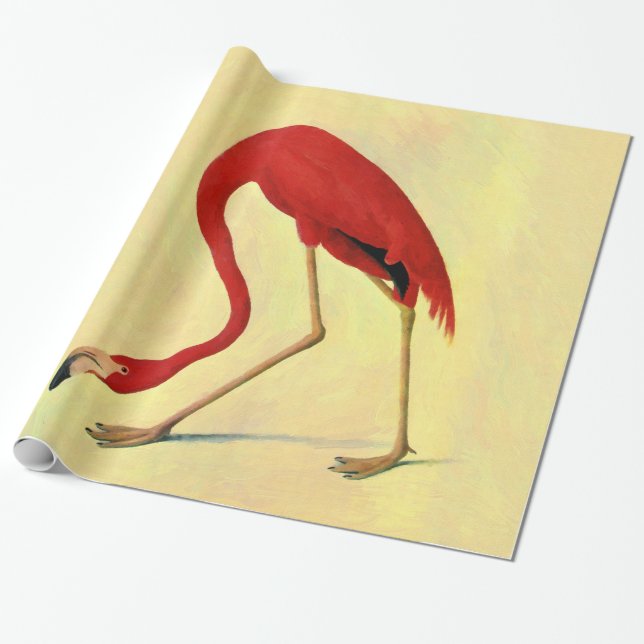 Audubon American Flamingo Painting Presentpapper (Utrullad)