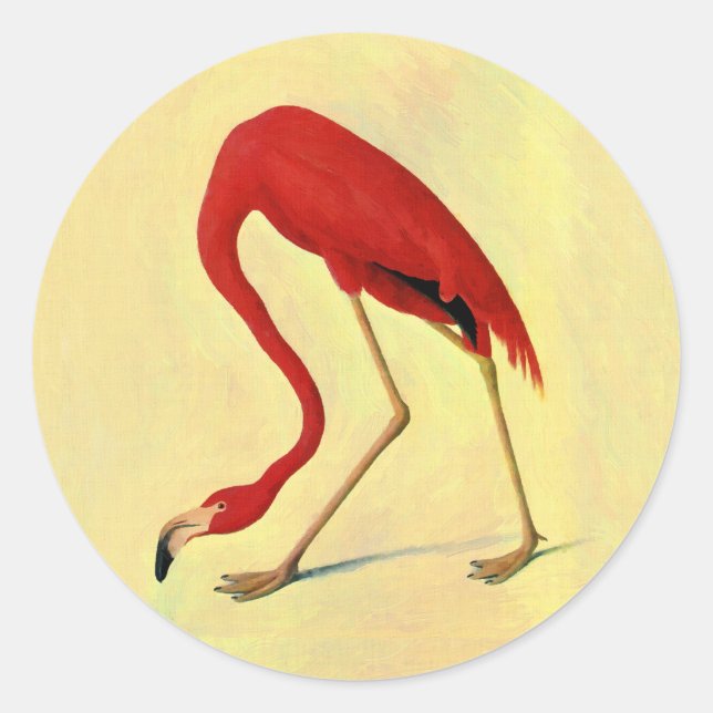 Audubon American Flamingo Painting Runt Klistermärke (Front)